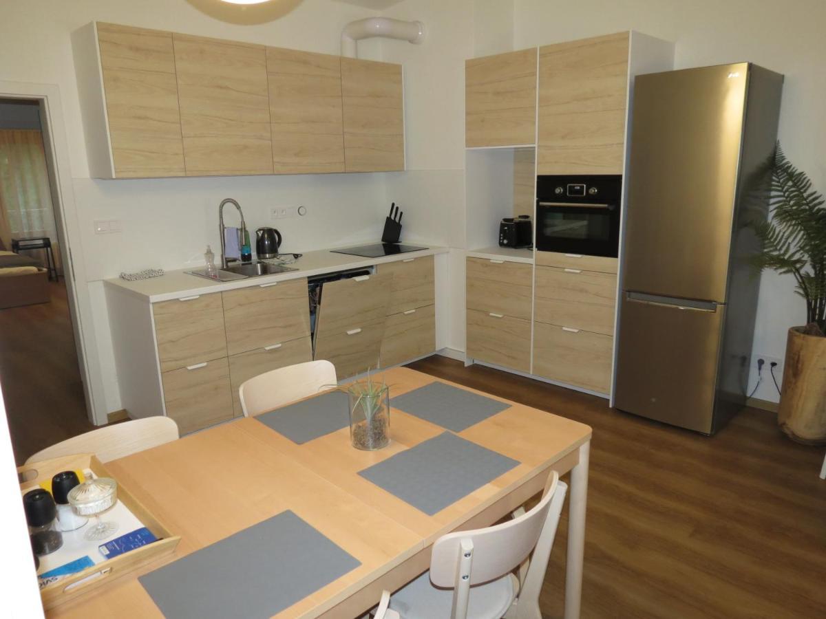 ליפנו נאד וויטאבו Family Apartment Lipno Lake מראה חיצוני תמונה